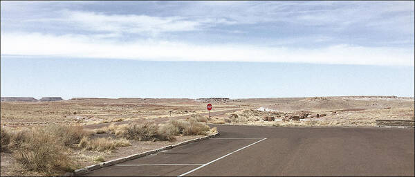 Afternoon Light Art Print featuring the photograph Roadside Landscape, Petrified Forest, AZ by Andy Romanoff