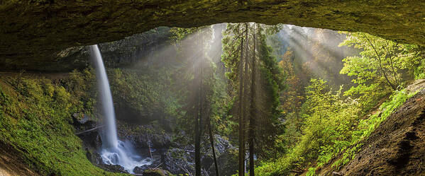 Silver Falls State Park Art Print featuring the photograph Sun, fog and rain by Ulrich Burkhalter