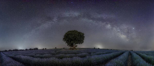 Sky Art Print featuring the photograph Universe Over Me by Fernando Molina