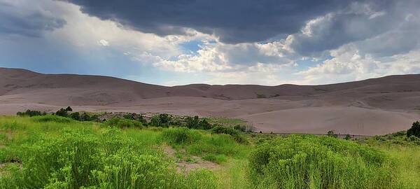 Great Sand Dunes National Park Art Print featuring the photograph Great Sand Dunes National Park #1 by Ally White