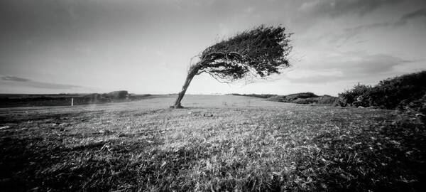 Pinhole Art Print featuring the photograph Standing the test of time #1 by Will Gudgeon