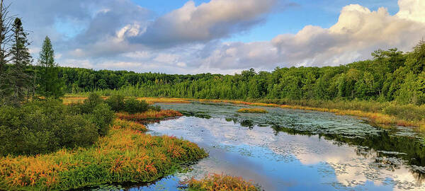 Autumn Art Print featuring the photograph Link Creek #8 by Brook Burling