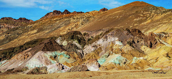 National Parks Art Print featuring the photograph Artist's Palette Death Valley by David Salter
