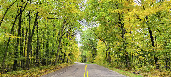 Autumn Backroad Art Print featuring the photograph Autumn Backroad by Brook Burling