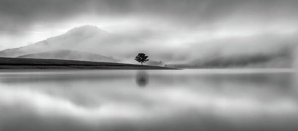 Black And White Art Print featuring the photograph Lonely by Khanh Bui Phu