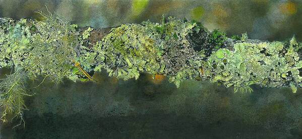 Nature Art Print featuring the mixed media Stick Covered With Lichen by John Dyess