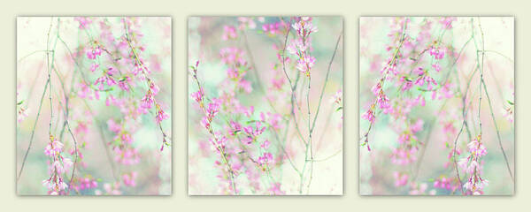 Triptych Art Print featuring the photograph Sweet Cherry Triptych by Jessica Jenney