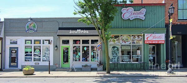 Shops Art Print featuring the photograph Sylvania Ohio Sidewalk Shops 7802 by Jack Schultz