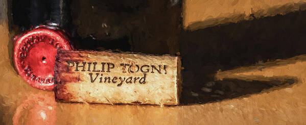 Cabernet Sauvignon Art Print featuring the photograph Togni Wine 11 by David Letts