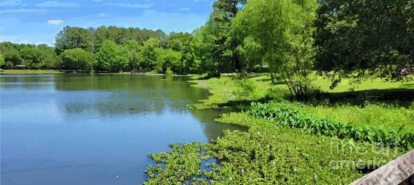 Park Art Print featuring the painting Tom Brown Park by Joe Roache