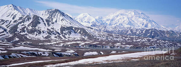 00341491 Art Print featuring the photograph Alaska Range In Spring Snow Denali N P by Yva Momatiuk and John Eastcott