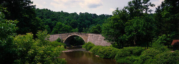 Photography Art Print featuring the photograph Arch Bridge Across Casselman River by Panoramic Images