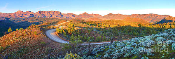 Bunyeroo Valley Flinders Ranges South Australia Australian Landscape Landscapes Pano Panorama Outback Early Morning Wilpena Pound Art Print featuring the photograph Bunyeroo Valley by Bill Robinson