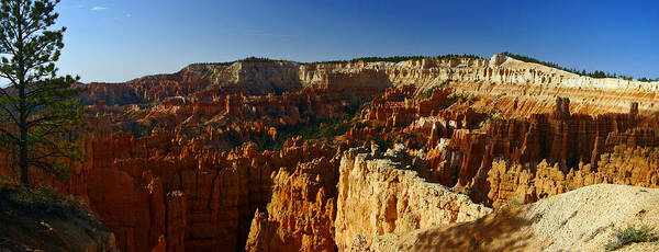 Bryce Canyon Art Print featuring the photograph Morning at Bryce Panorama by Jeremy Rhoades