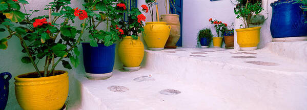 Photography Art Print featuring the photograph Potted Plants On Steps, Mykonos by Panoramic Images