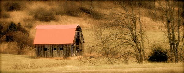 Barns Art Print featuring the photograph Red Barn of Virginia by Teresa Tilley