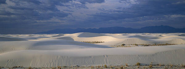 Feb0514 Art Print featuring the photograph Soaptree Yucca In Gypsum Dunes White by Konrad Wothe