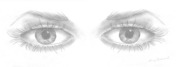 Eyes Art Print featuring the drawing Stare by Terry Frederick