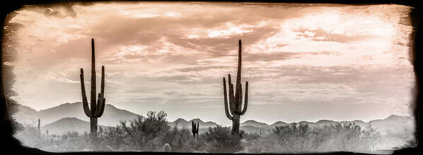 Cacti Art Print featuring the mixed media Sunset AZ Style by Elaine Malott