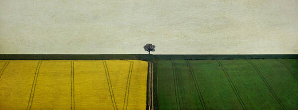 Yorkshire Art Print featuring the photograph The Dimensionless Monologue by Evelina Kremsdorf