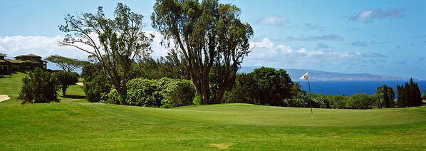 Photography Art Print featuring the photograph Trees On A Golf Course, Kapalua Golf by Panoramic Images