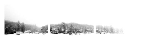 Winter Art Print featuring the photograph Winter And Fog Triptych by Geoffrey Coelho