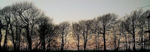 Winter Art Print featuring the photograph Winter Skyline by Richard Brookes