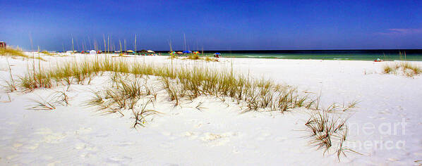 Panorama Art Print featuring the photograph Umbrellas on the Beach by Judi Bagwell