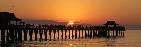 Paradise Art Print featuring the photograph Naples Pier at Sunset #1 by Sean Allen
