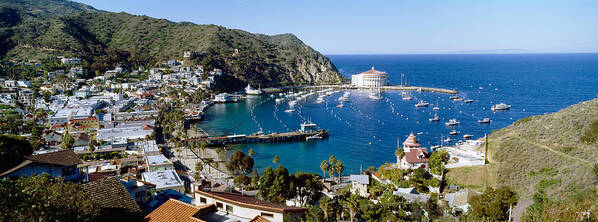 Photography Art Print featuring the photograph Santa Catalina Island Ca #1 by Panoramic Images