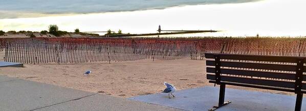 Photography Photo Art Print featuring the photograph Bench, Birds, Beach and Lighthouse by Kenlynn Schroeder