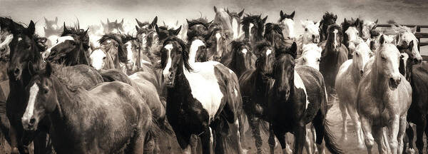 Horses Art Print featuring the photograph Dinner Run by Pamela Steege