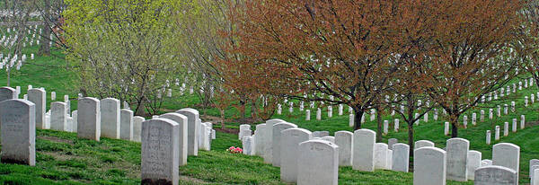  Art Print featuring the photograph The White Tombstones Of Arlington by Cora Wandel