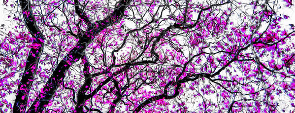 Flower Art Print featuring the photograph Tulip Tree Abstracted 3 by Michael Arend