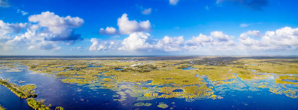 Everglades Art Print featuring the photograph Wild Blue Yonder by Mark Andrew Thomas