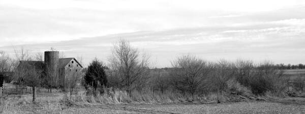 Farm Art Print featuring the photograph Windswept Heritage by Jame Hayes