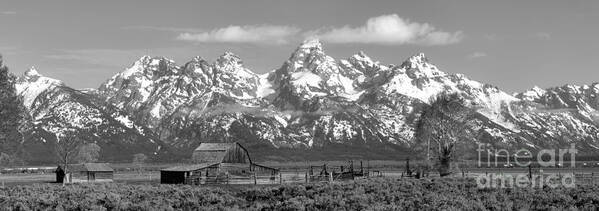 Black And White Art Print featuring the photograph Mormon Row Moulton Barn Black And White Panorama by Adam Jewell