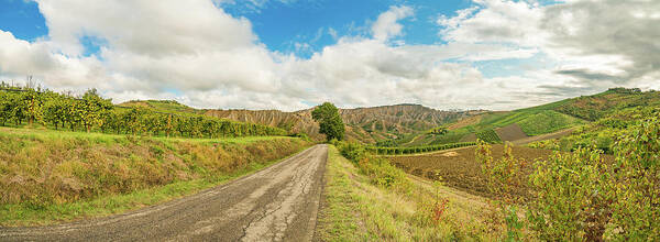 Emilia Art Print featuring the photograph Emilia Romagna, Italy, fields on hills #2 by Vivida Photo PC