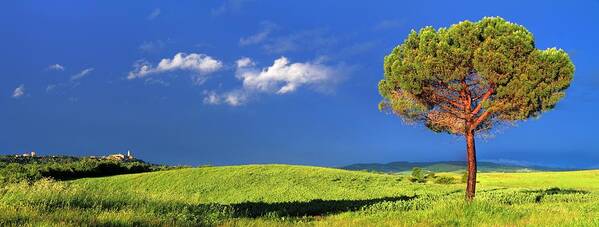 Tranquility Art Print featuring the photograph City Of Pienza And Pine In Tuscany by © Jan Zwilling