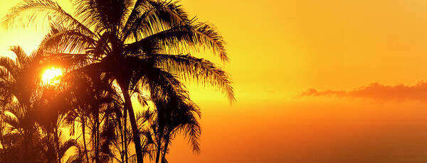 Sunset Art Print featuring the photograph Golden Hawaiian Sunset by Christopher Johnson