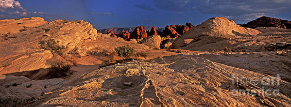 Dave Welling Art Print featuring the photograph Panorama Sunset Valley Of Fire State Park Nevada by Dave Welling