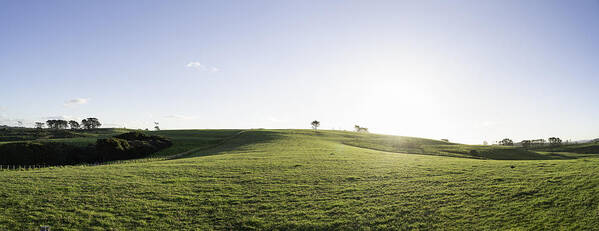 Scenics Art Print featuring the photograph Grassland sky and grass background in a park #2 by Kehan Chen