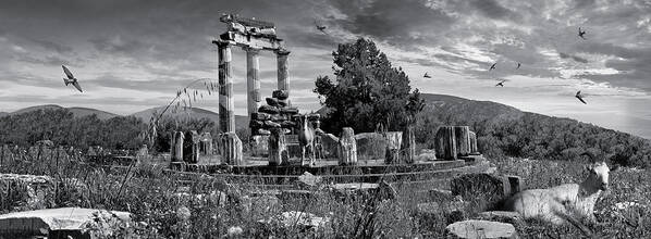 Delphi Tholos Art Print featuring the photograph Sacred Stone - Black and white photo of Delphi Tholos by Paul E Williams