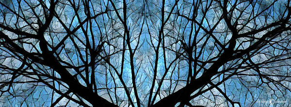 Trees Art Print featuring the photograph Cathedral Windows by Tim Nyberg