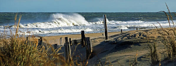 Fenwick Island Art Print featuring the photograph Fenwick Island Dunes and Waves Panorama by Bill Swartwout