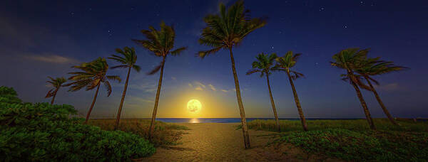 Moon Art Print featuring the photograph Florida's Gold Coast by Mark Andrew Thomas