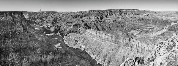 Grand Canyon Art Print featuring the photograph Grand Canyon No. 1 by Frank Lee