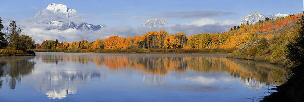 Oxbow Bend Art Print featuring the photograph Oxbow Bend Pano by Wesley Aston