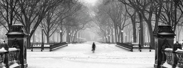 Central Park Art Print featuring the photograph Women in Central Park and Snow by Randy Lemoine