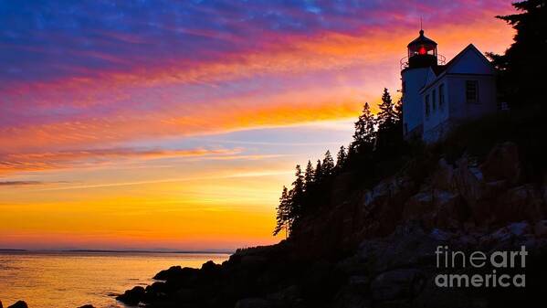  Acadia National Park Art Print featuring the photograph Bass Harbor Head Light. #2 by New England Photography
